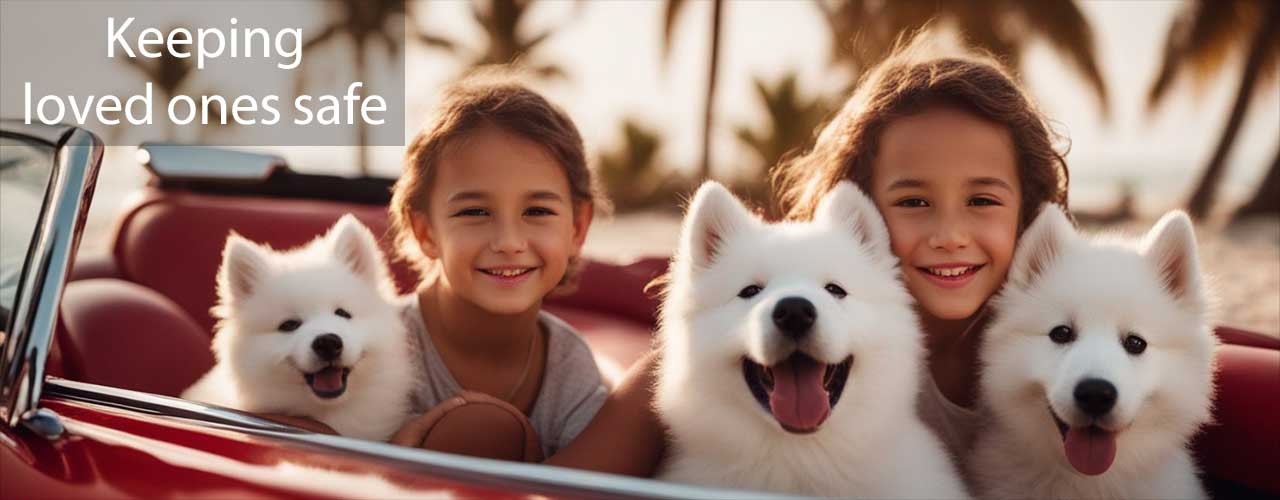 Tire Safety Cloud - Keeping loved ones safe.