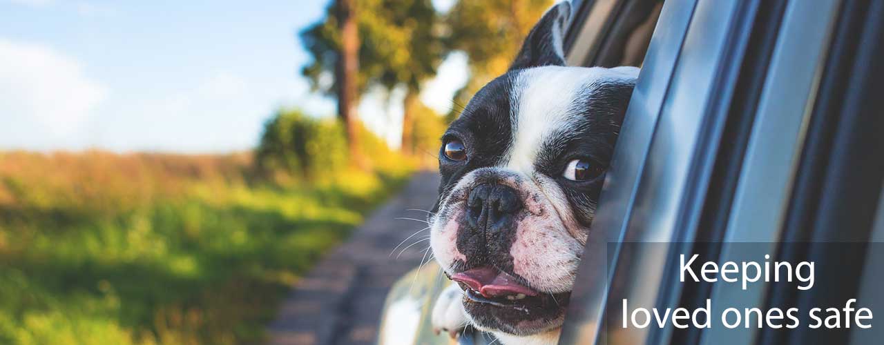 Tire Safety Cloud - Keeping loved ones safe.